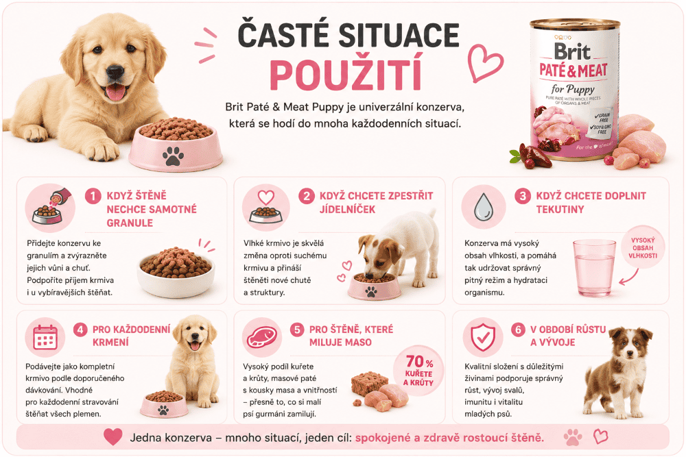 Brit Paté Puppy Časté situace použití krmiva pro štěňata